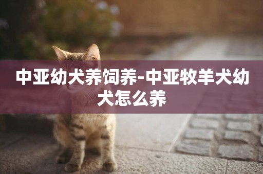 中亞幼犬養飼養-中亞牧羊犬幼犬怎么養