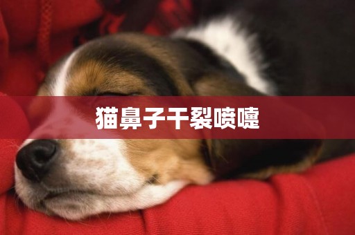 貓鼻子干裂噴嚏