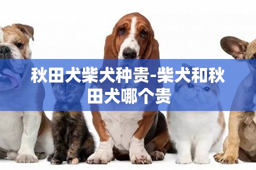 秋田犬柴犬種貴-柴犬和秋田犬哪個貴