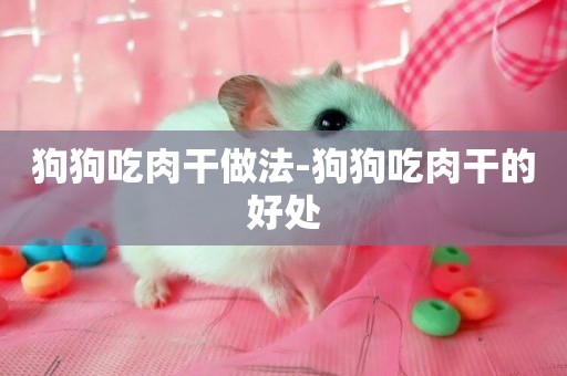 狗狗吃肉干做法-狗狗吃肉干的好處