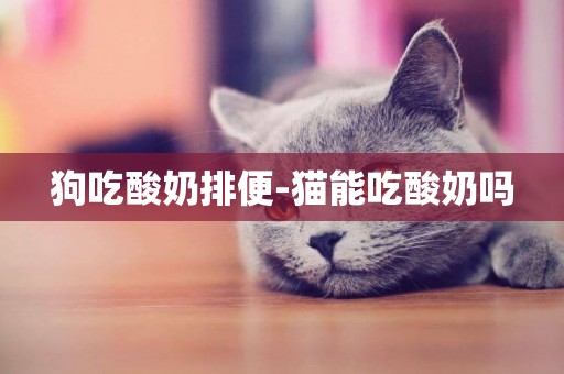 狗吃酸奶排便-貓能吃酸奶嗎