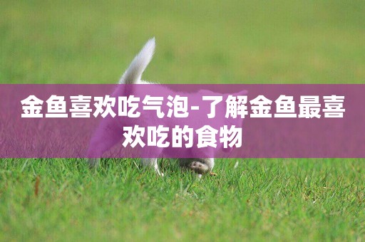 金魚喜歡吃氣泡-了解金魚最喜歡吃的食物