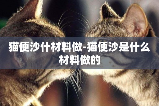 貓便沙什材料做-貓便沙是什么材料做的