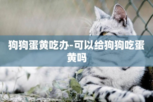 狗狗蛋黃吃辦-可以給狗狗吃蛋黃嗎