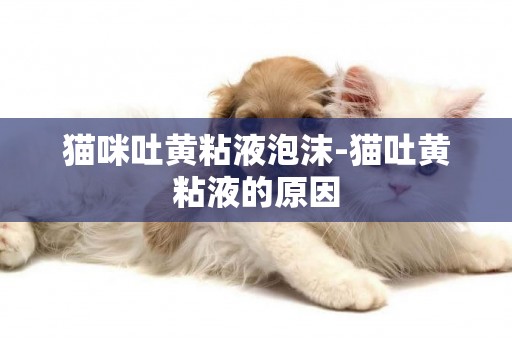 貓咪吐黃粘液泡沫-貓吐黃粘液的原因