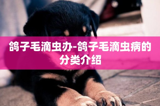 鴿子毛滴蟲辦-鴿子毛滴蟲病的分類介紹