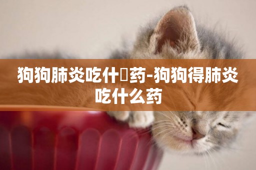 狗狗肺炎吃什麼藥-狗狗得肺炎吃什么藥