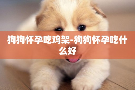 狗狗懷孕吃雞架-狗狗懷孕吃什么好