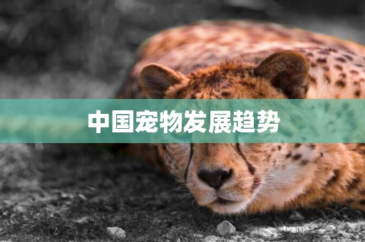 中國寵物發展趨勢