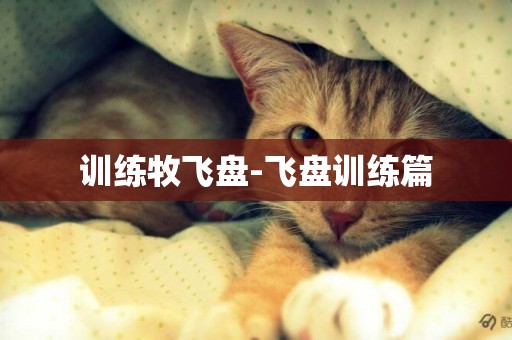 訓練牧飛盤-飛盤訓練篇