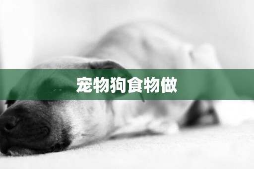 寵物狗食物做