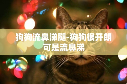 狗狗流鼻涕腿-狗狗很開朗可是流鼻涕