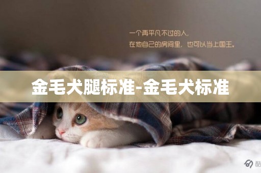 金毛犬腿標準-金毛犬標準