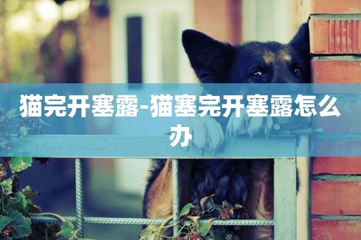 貓完開塞露-貓塞完開塞露怎么辦