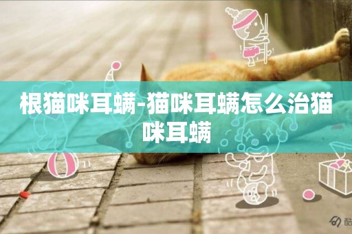 根貓咪耳螨-貓咪耳螨怎么治貓咪耳螨