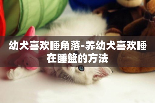 幼犬喜歡睡角落-養幼犬喜歡睡在睡籃的方法