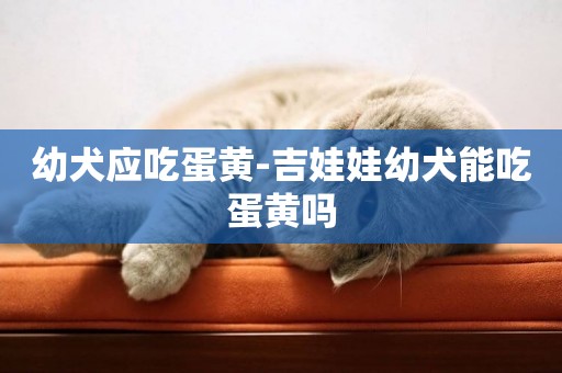 幼犬應吃蛋黃-吉娃娃幼犬能吃蛋黃嗎