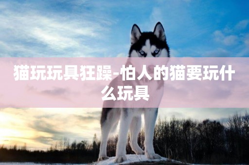 貓玩玩具狂躁-怕人的貓要玩什么玩具