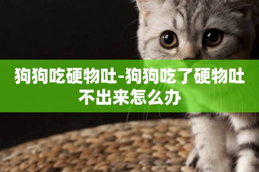 狗狗吃硬物吐-狗狗吃了硬物吐不出來怎么辦