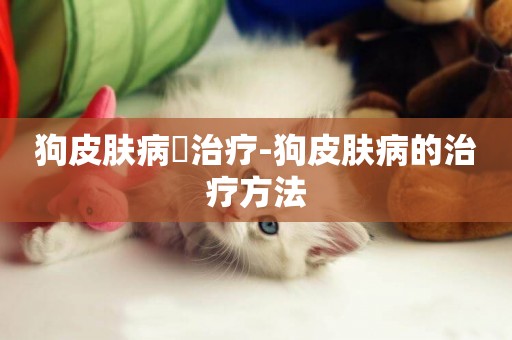 狗皮膚病廯治療-狗皮膚病的治療方法