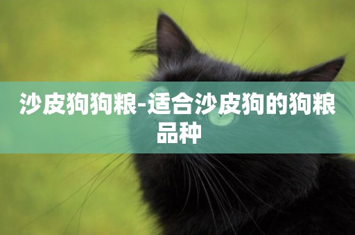 沙皮狗狗糧-適合沙皮狗的狗糧品種