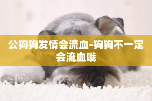公狗狗發情會流血-狗狗不一定會流血哦