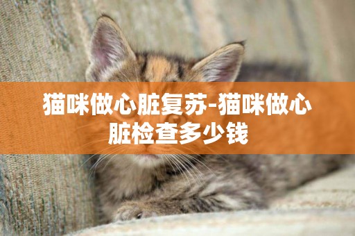 貓咪做心臟復蘇-貓咪做心臟檢查多少錢
