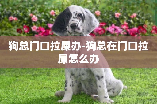 狗總門口拉屎辦-狗總在門口拉屎怎么辦