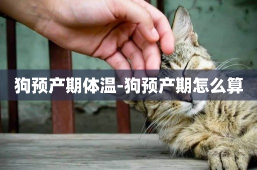 狗預產期體溫-狗預產期怎么算