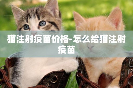 貓注射疫苗價格-怎么給貓注射疫苗