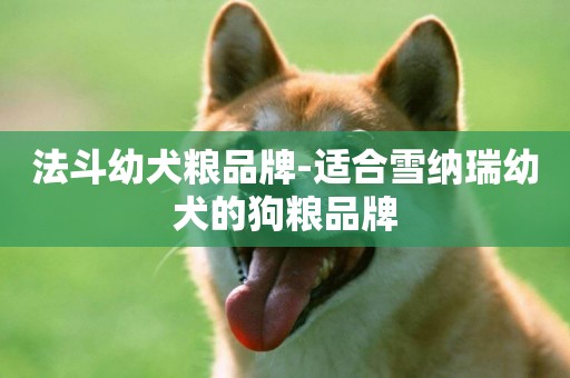 法斗幼犬糧品牌-適合雪納瑞幼犬的狗糧品牌
