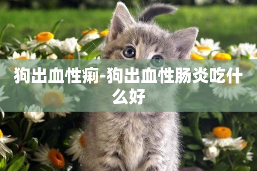 狗出血性痢-狗出血性腸炎吃什么好
