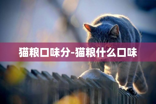貓糧口味分-貓糧什么口味