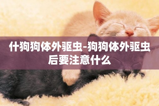 什狗狗體外驅蟲-狗狗體外驅蟲后要注意什么