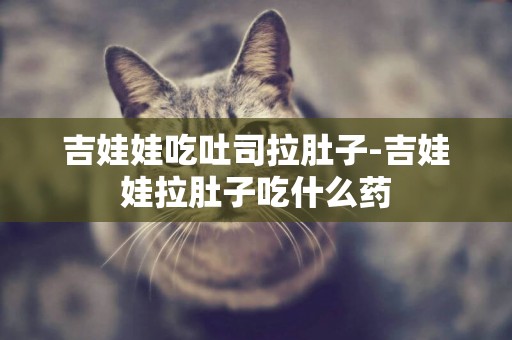 吉娃娃吃吐司拉肚子-吉娃娃拉肚子吃什么藥