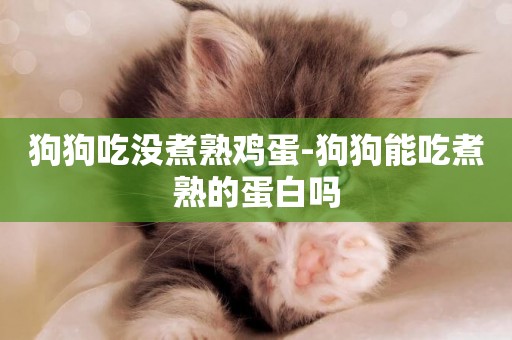 狗狗吃沒煮熟雞蛋-狗狗能吃煮熟的蛋白嗎