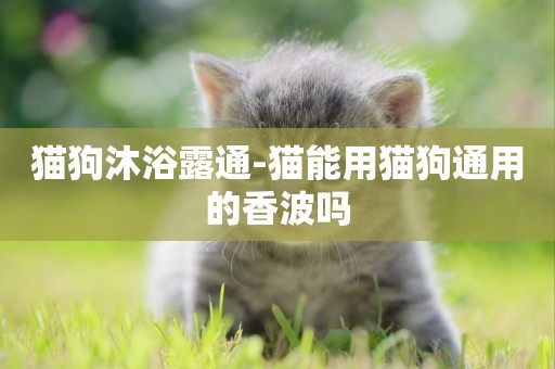 貓狗沐浴露通-貓能用貓狗通用的香波嗎