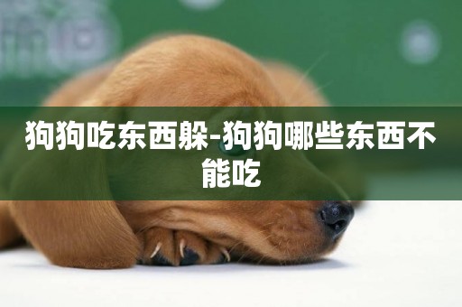狗狗吃東西躲-狗狗哪些東西不能吃