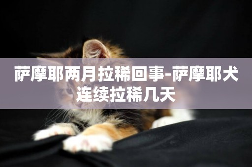 薩摩耶兩月拉稀回事-薩摩耶犬連續拉稀幾天