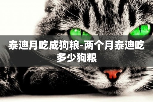 泰迪月吃成狗糧-兩個月泰迪吃多少狗糧
