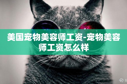 美國寵物美容師工資-寵物美容師工資怎么樣