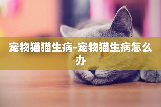 寵物貓貓生病-寵物貓生病怎么辦