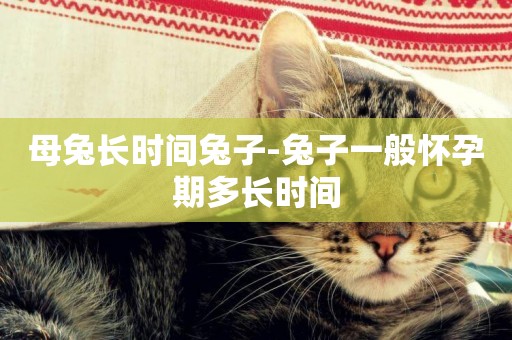 母兔長時間兔子-兔子一般懷孕期多長時間