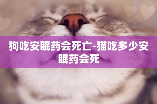 狗吃安眠藥會死亡-貓吃多少安眠藥會死