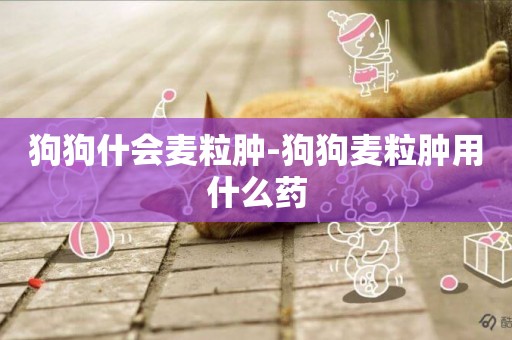 狗狗什會麥粒腫-狗狗麥粒腫用什么藥