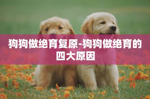 狗狗做絕育復原-狗狗做絕育的四大原因