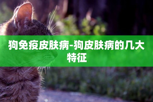狗免疫皮膚病-狗皮膚病的幾大特征