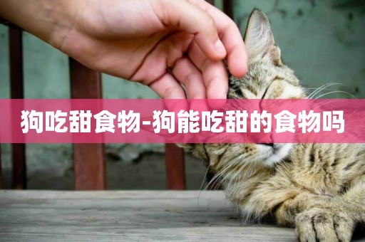 狗吃甜食物-狗能吃甜的食物嗎