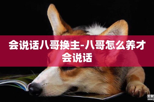 會說話八哥換主-八哥怎么養才會說話
