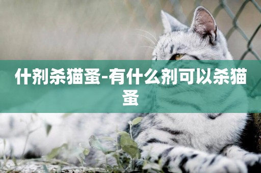 什劑殺貓蚤-有什么劑可以殺貓蚤